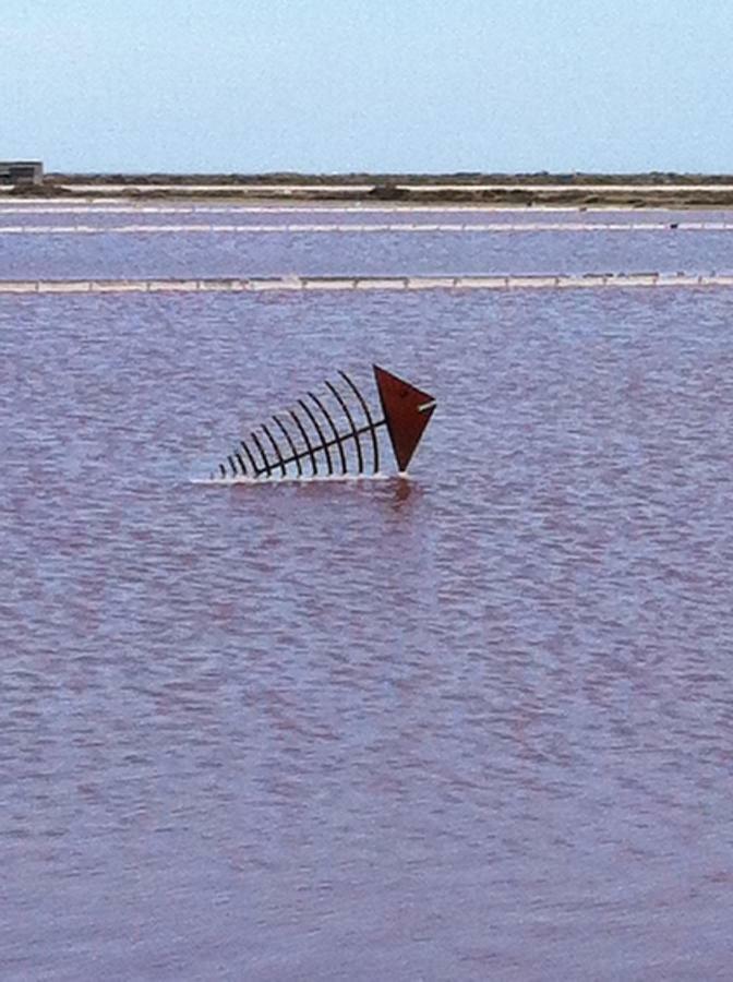 Art'Appart Narbonne Bagian luar foto