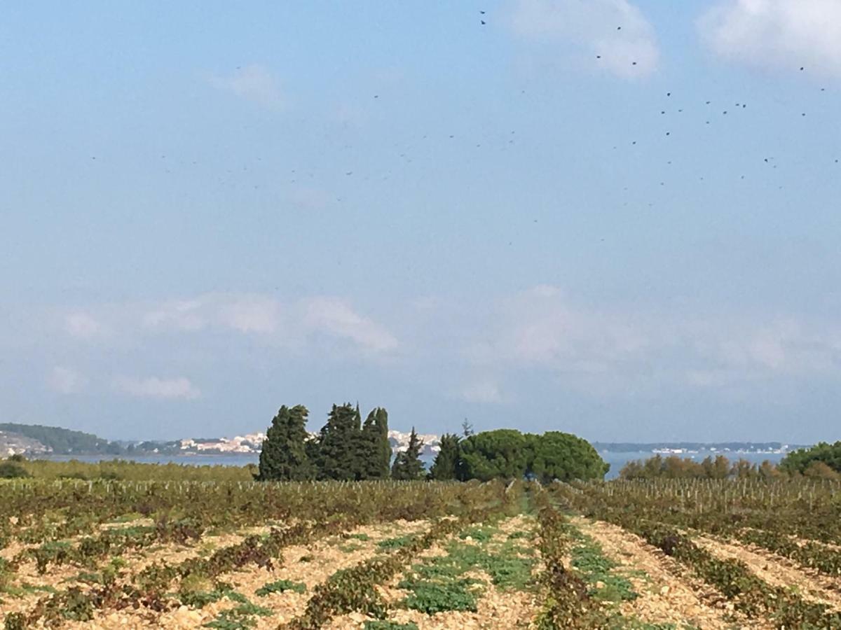 Art'Appart Narbonne Bagian luar foto